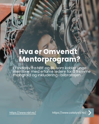 forside brosjyre hva er omvendt mentorprogram