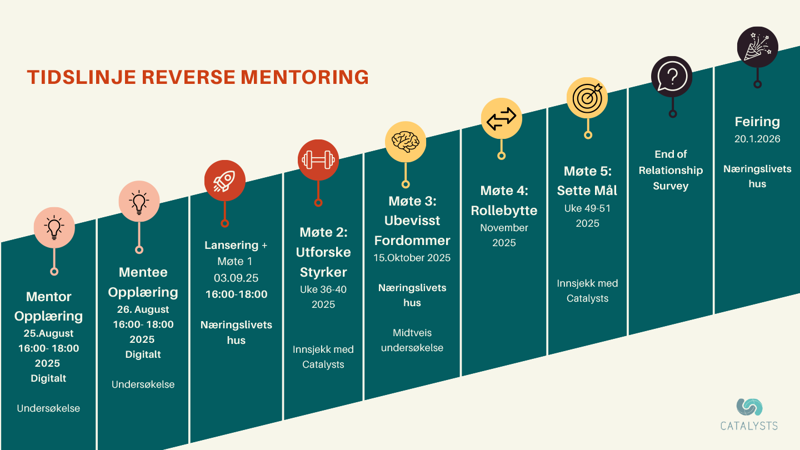 tidslinje omvendt mentorprogram 2025 per august 2025