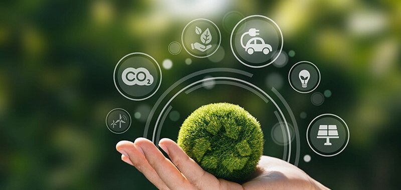 hånd som holder mosekule med hologram. 